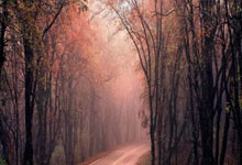 开云体育:中国绍兴将承办洛杉矶奥运会女子垒球亚洲/大洋洲区资格赛