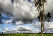 开云体育下载:陈明伶加盟墨尔本老虎队 将携手杨舒予征战NBL1南区联赛