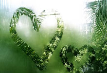 开云APP下载:客场击败勒沃库森 拜仁挺进德国杯决赛